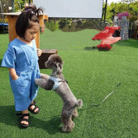 Load image into Gallery viewer, Baby Kid Unisex Solid Color Rompers Wholesale 22061334
