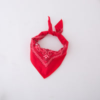 Load image into Gallery viewer, 5 Pieces Set Baby Kid Boys Solid Color Shirts And Vests Waistcoats And Print Pants And Scarves And Hats Wholesale 220616101
