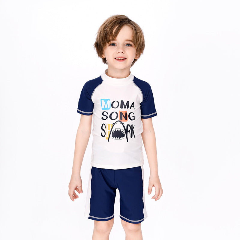 3 Pieces Set Baby Kid Boys Beach Letters Animals Cartoon Print T-Shirts And Striped Shorts Swimwears And Hats Wholesale 220616174