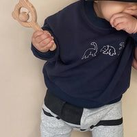 Load image into Gallery viewer, Baby Unisex Dinosaur Cartoon Embroidered Hoodies Swearshirts Wholesale 220616312
