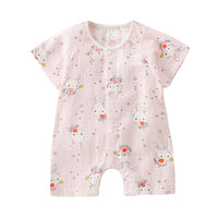 Load image into Gallery viewer, Baby Unisex Flower Fruit Cartoon Print Rompers Wholesale 220620248
