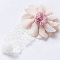 Load image into Gallery viewer, Girls Flower Lace Accessories Headwear Wholesale 220620297
