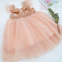 Load image into Gallery viewer, Baby Kid Girls Color-blocking Fish scales Lace Dresses Wholesale 22062223
