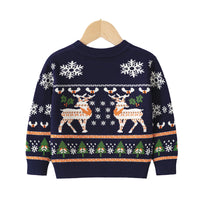 Load image into Gallery viewer, Kid Unisex Cartoon Crochet Christmas Sweaters Wholesale 220630136
