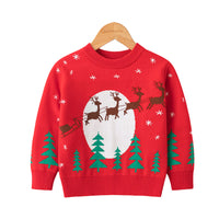 Load image into Gallery viewer, Kid Unisex Cartoon Crochet Christmas Sweaters Wholesale 220630136
