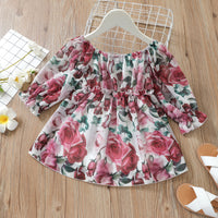 Load image into Gallery viewer, Baby Kid Girls Flower Print Dresses Wholesale 220705137
