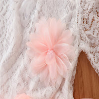 Load image into Gallery viewer, Kid Girls Color-blocking Lace Birthday Party Dresses Princess Dresses Wholesale 220711290
