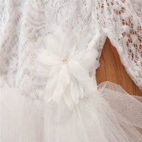 Load image into Gallery viewer, Kid Girls Color-blocking Lace Birthday Party Dresses Princess Dresses Wholesale 220711290
