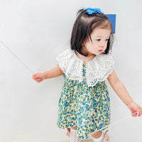 Load image into Gallery viewer, Baby Kid Girls Flower Lace Print Dresses Wholesale 220711432
