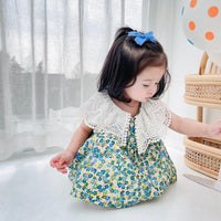Load image into Gallery viewer, Baby Kid Girls Flower Lace Print Dresses Wholesale 220711432
