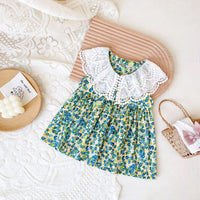 Load image into Gallery viewer, Baby Kid Girls Flower Lace Print Dresses Wholesale 220711432
