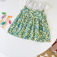 Load image into Gallery viewer, Baby Kid Girls Flower Lace Print Dresses Wholesale 220711432
