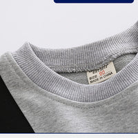 Load image into Gallery viewer, Baby Kid Boys Color-blocking Hoodies&amp;Swearshirts Wholesale 220713168
