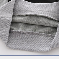 Load image into Gallery viewer, Baby Kid Boys Color-blocking Hoodies&amp;Swearshirts Wholesale 220713168
