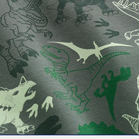 Load image into Gallery viewer, Baby Kid Boys Dinosaur Hoodies Swearshirts Wholesale 22071361
