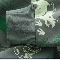 Load image into Gallery viewer, Baby Kid Boys Dinosaur Hoodies Swearshirts Wholesale 22071361
