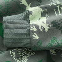 Load image into Gallery viewer, Baby Kid Boys Dinosaur Hoodies Swearshirts Wholesale 22071361
