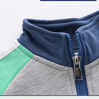 Load image into Gallery viewer, Baby Kid Boys Color-blocking Hoodies Swearshirts Wholesale 22071362
