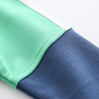 Load image into Gallery viewer, Baby Kid Boys Color-blocking Hoodies Swearshirts Wholesale 22071362
