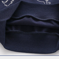Load image into Gallery viewer, Baby Kid Boys Dinosaur Hoodies Swearshirts Wholesale 22071368
