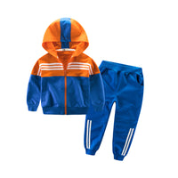 Load image into Gallery viewer, 2 Pieces Set Kid Big Kid Unisex Sports Striped Color-blocking Jackets Outwears And Pants Wholesale 22071909
