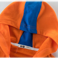 Load image into Gallery viewer, 2 Pieces Set Kid Big Kid Unisex Sports Striped Color-blocking Jackets Outwears And Pants Wholesale 22071909
