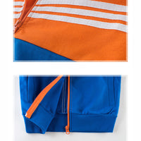 Load image into Gallery viewer, 2 Pieces Set Kid Big Kid Unisex Sports Striped Color-blocking Jackets Outwears And Pants Wholesale 22071909
