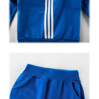 Load image into Gallery viewer, 2 Pieces Set Kid Big Kid Unisex Sports Striped Color-blocking Jackets Outwears And Pants Wholesale 22071909
