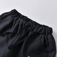 Load image into Gallery viewer, 2 Pieces Set Baby Kid Boys Cartoon Print Jackets Outwears Animals And Embroidered Pants Wholesale 220719242
