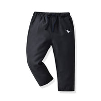 Load image into Gallery viewer, 2 Pieces Set Baby Kid Boys Cartoon Print Jackets Outwears Animals And Embroidered Pants Wholesale 220719242
