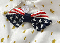 Load image into Gallery viewer, Unisex Striped Polka dots Star Birthday Party Independence Day Accessories Others Accessories Wholesale 22071937
