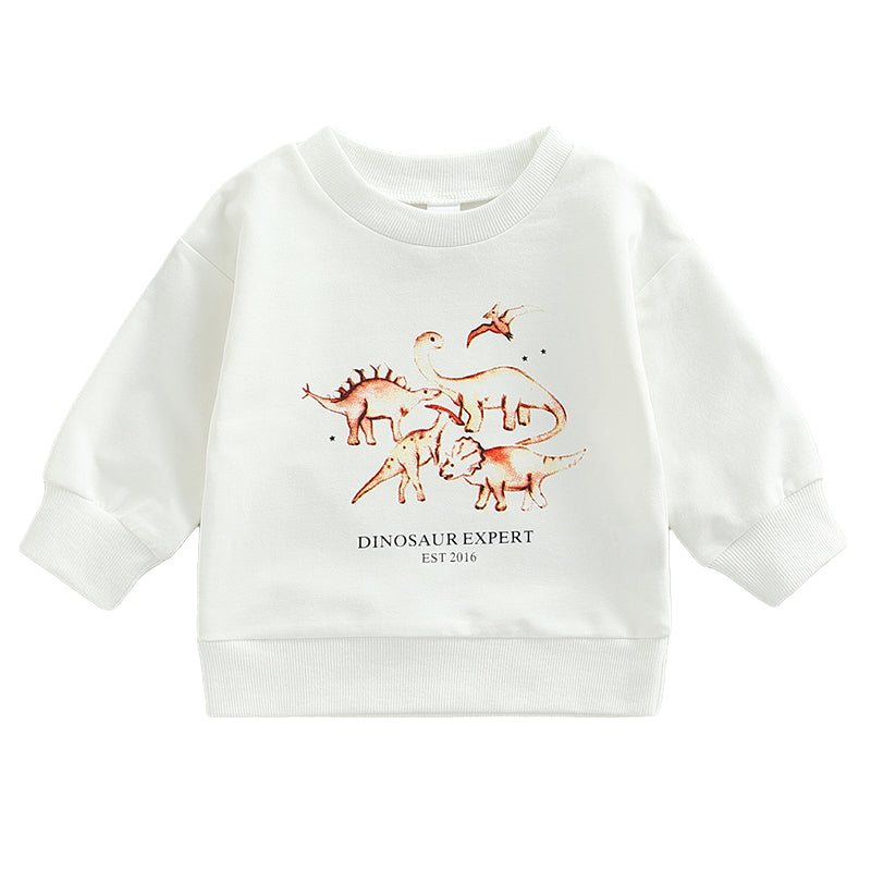 Baby Kid Unisex Dinosaur Print Hoodies Swearshirts Wholesale 220726445