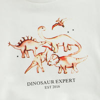 Load image into Gallery viewer, Baby Kid Unisex Dinosaur Print Hoodies Swearshirts Wholesale 220726445
