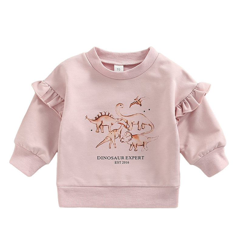 Baby Kid Girls Letters Dinosaur Cartoon Print Hoodies Swearshirts Wholesale 220726481