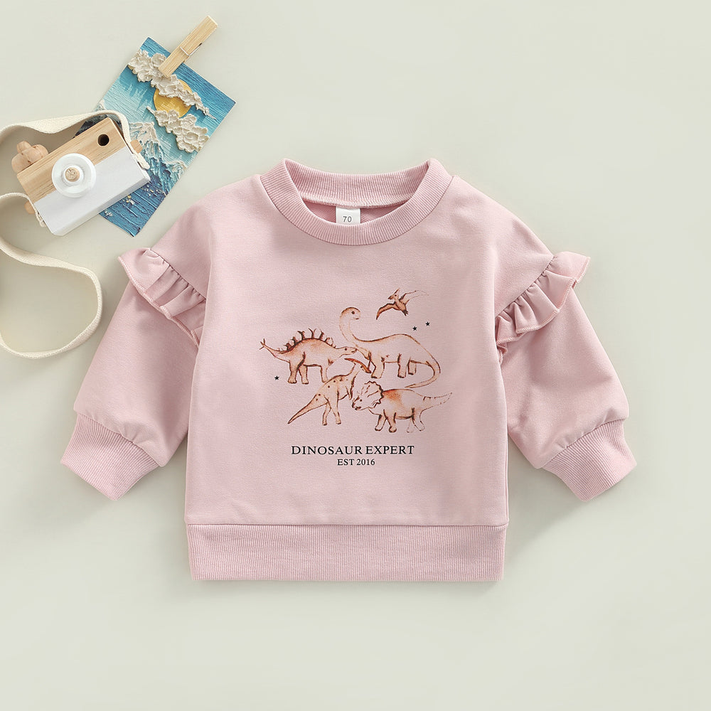 Baby Kid Girls Letters Dinosaur Cartoon Print Hoodies Swearshirts Wholesale 220726481