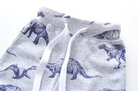 Load image into Gallery viewer, Kid Boys Dinosaur Animals Print Pants Wholesale 22072809
