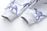 Load image into Gallery viewer, Kid Boys Dinosaur Animals Print Pants Wholesale 22072809
