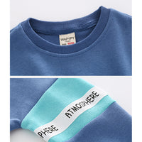 Load image into Gallery viewer, 2 Pieces Set Baby Kid Boys Color-blocking Hoodies Swearshirts And Pants Wholesale 220802139
