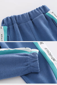 Load image into Gallery viewer, 2 Pieces Set Baby Kid Boys Color-blocking Hoodies Swearshirts And Pants Wholesale 220802139
