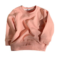 Load image into Gallery viewer, Baby Kid Unisex Solid Color Hoodies Swearshirts Wholesale 220815416
