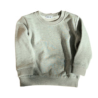 Load image into Gallery viewer, Baby Kid Unisex Solid Color Hoodies Swearshirts Wholesale 220815416

