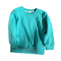 Load image into Gallery viewer, Baby Kid Unisex Solid Color Hoodies Swearshirts Wholesale 220815416
