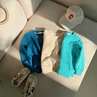 Load image into Gallery viewer, Baby Kid Unisex Solid Color Hoodies Swearshirts Wholesale 220815416
