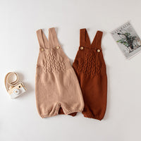 Load image into Gallery viewer, Baby Unisex Solid Color Knitwear Rompers Wholesale 220817169
