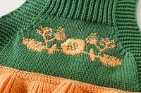 Load image into Gallery viewer, Baby Girls Flower Crochet Embroidered Knitwear Rompers Wholesale 220817261
