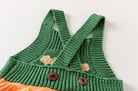 Load image into Gallery viewer, Baby Girls Flower Crochet Embroidered Knitwear Rompers Wholesale 220817261
