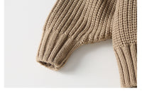 Load image into Gallery viewer, Baby Kid Unisex Solid Color Sweaters Wholesale 220819239
