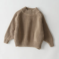 Load image into Gallery viewer, Baby Kid Unisex Solid Color Sweaters Wholesale 220819239
