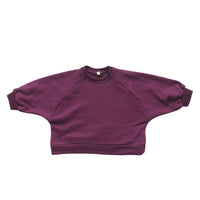 Load image into Gallery viewer, Baby Kid Unisex Solid Color Hoodies Swearshirts Wholesale 22082959
