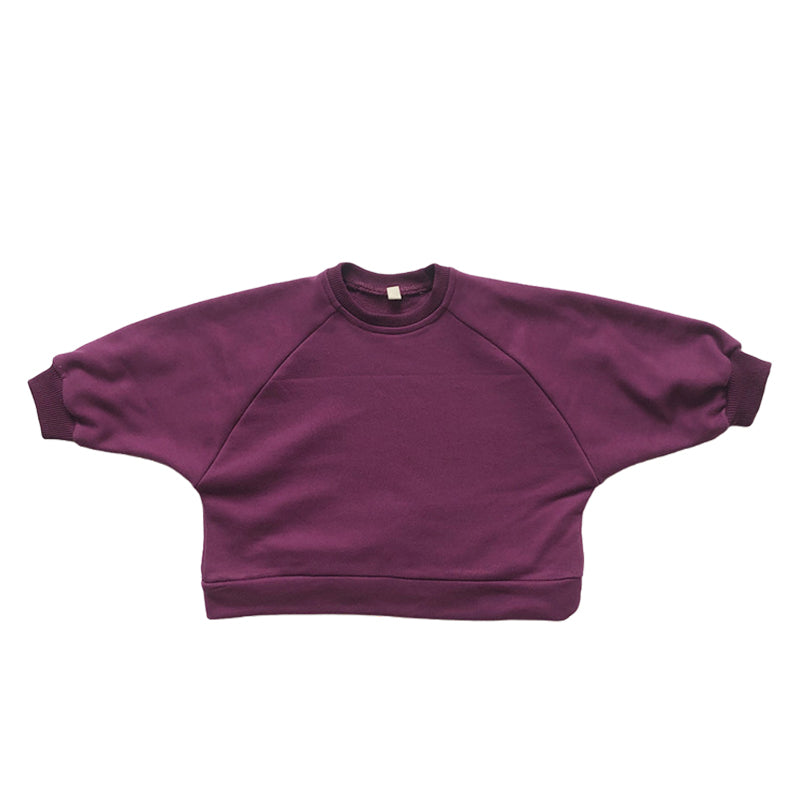 Baby Kid Unisex Solid Color Hoodies Swearshirts Wholesale 22082959